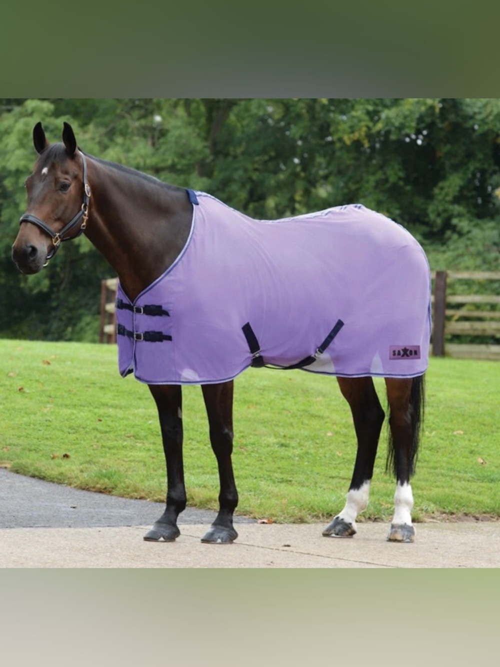 Purple Saxon Element Net Cooler fly sheet